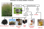 bei_bio-oil_fractionation_products