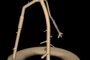 Iowa State researchers are using X-ray computed tomography to create 3-D images of root structures within soil. Image courtesy of Ted Heindel/Mechanical Engineering.