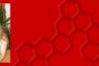 cademartiri-lego-background