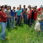 Iowa State’s Intensive Program in Biorenewables shows students the action