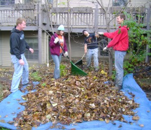 ASABE members rake leaves