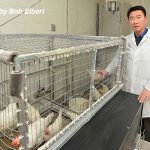 Xin demonstrates egg industry’s improved efficiency, environmental impact