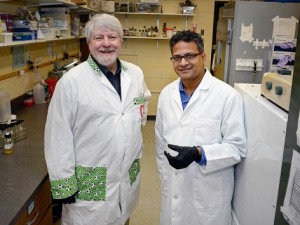 [Photo] Iowa State's Michael Wannemuehler and Balaji Narasimhan are working to develop nanovaccines. 