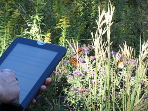 [Photo] An app available for Android smart phones and tablets identifies at Reiman Gardens in Ames, Iowa.