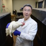 Egg production study explores environmental impact of industry