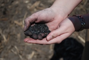 Biochar