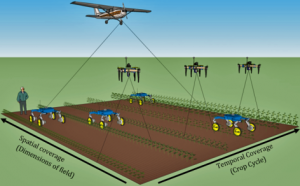 Airplanes, drones and rovers could collect huge amounts of data from farm fields. The presidential research initiative is supporting an interdisciplinary team that will work to make sense of all that data. (Illustration by Marcus Naik/Mechanical Engineering)