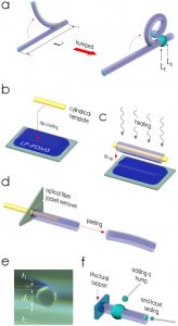 Jaeyoun Kim’s article placed as one of the top 100 read Scientific Reports articles in 2015, out of almost 11,000 papers published. 