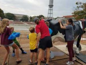 Attendees at the 2017 WiSE STEM Fest help with a simulated calf birth