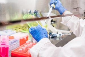 Gloved hands working in lab