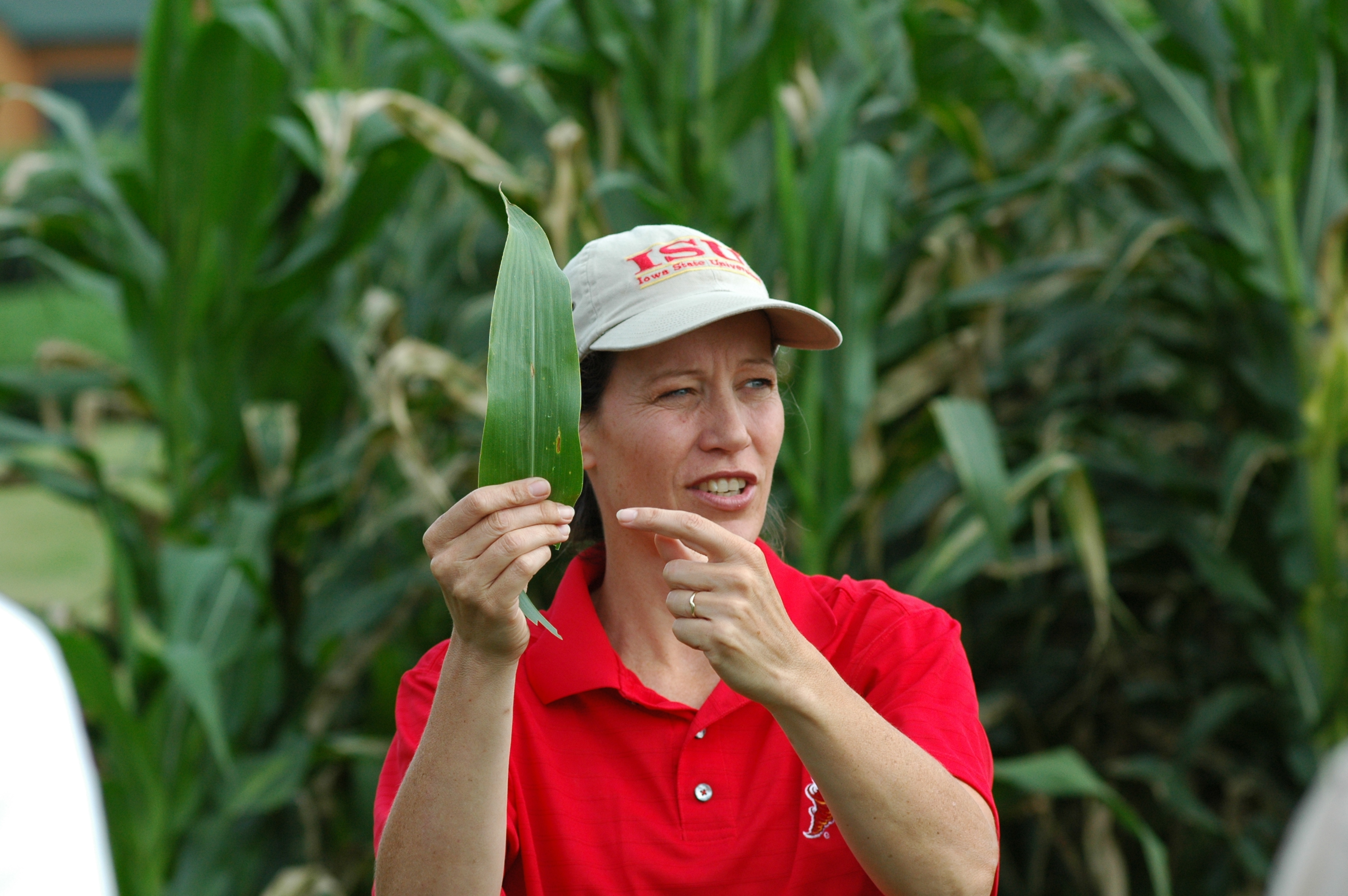 Alison Robertson, professor of plant pathology and microbiology, is a lead researcher for cover crop projects funded by the Iowa Nutrient Research Center. Photo by Iowa State University. 