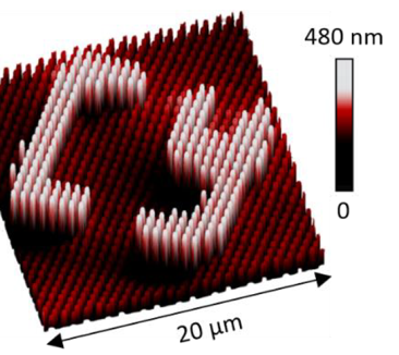 an illustration of a nanoprinted, textured surface with the word CY in it