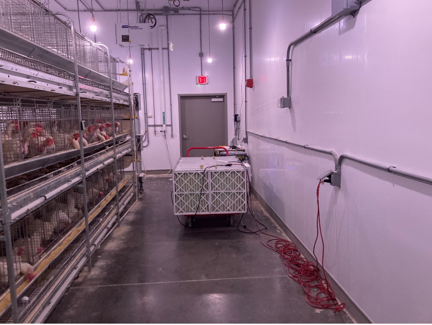 Photo of a room filled with chickens in cages and the prototype in the middle of the room.