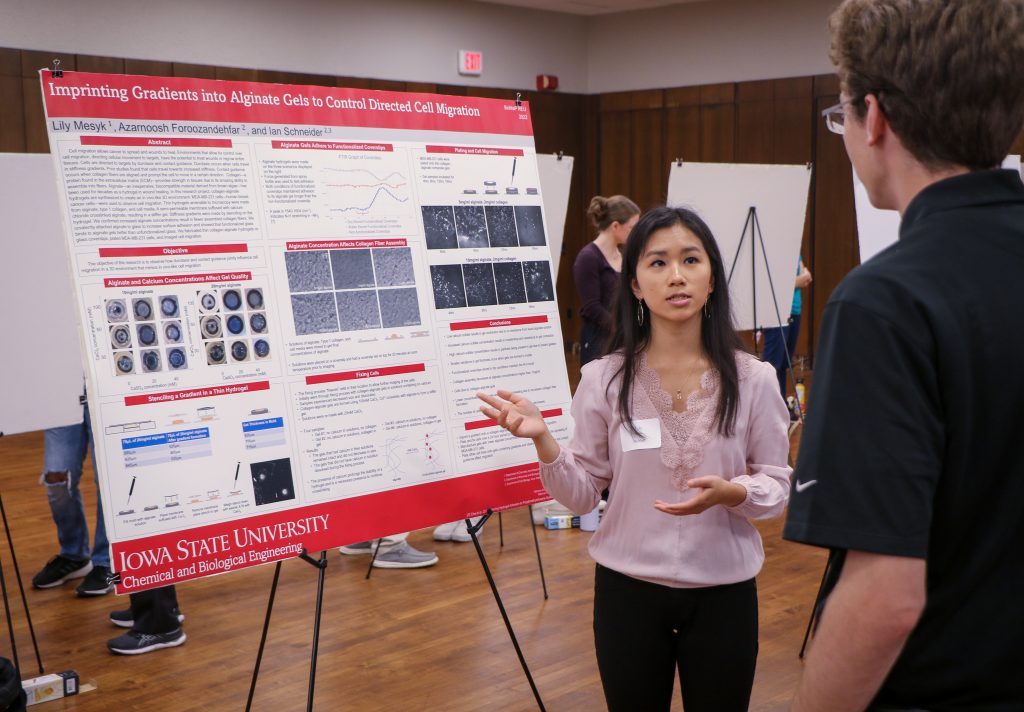 Lily Mesyk of Bethel University presents her summer research on Controlling Structure and Mechanical Properties to Understand and Guide Cell Migration. Her faculty mentor for this project was Ian Schneider.