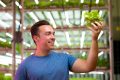 Nick Herrig holds a lettuce plant