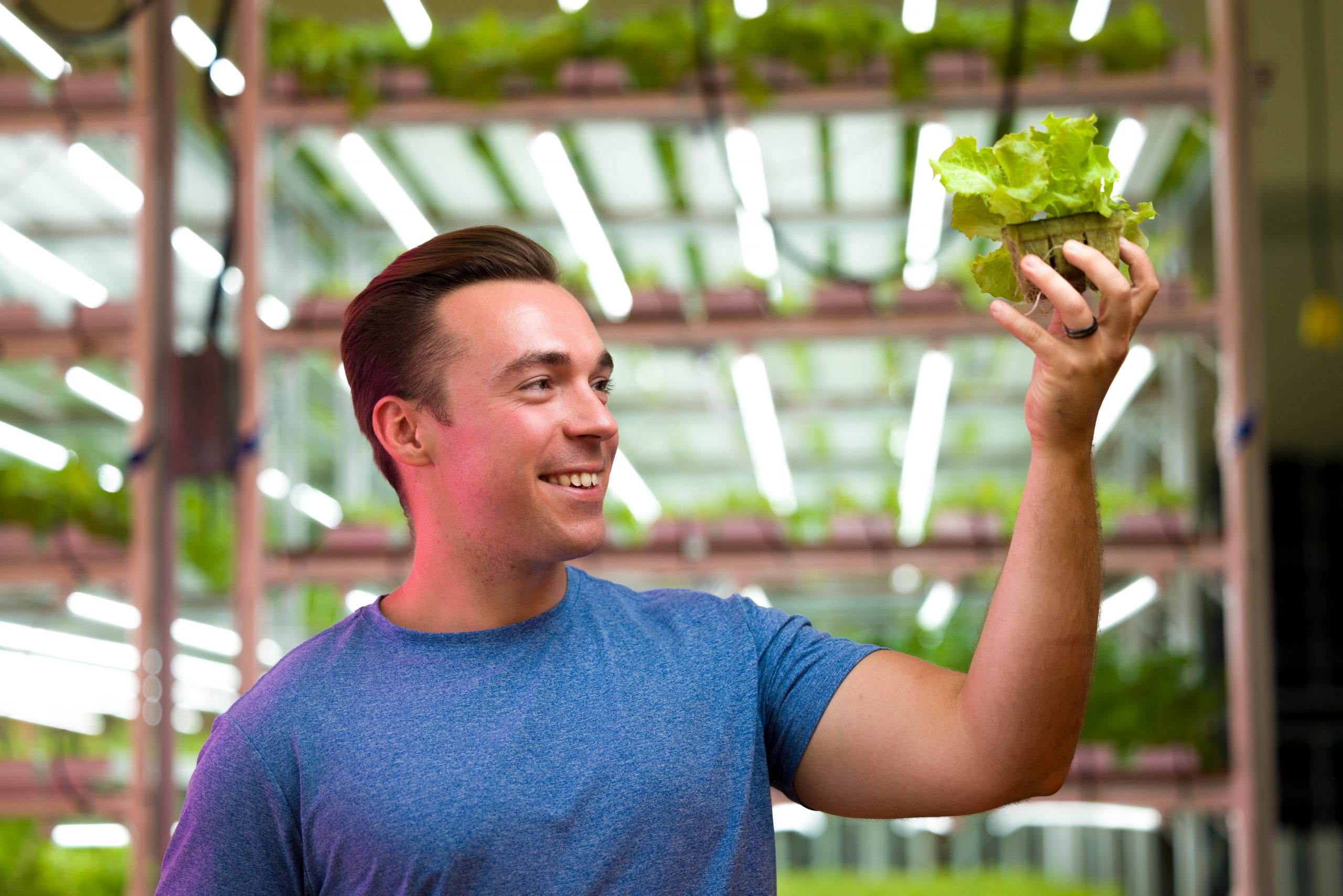 Nick Herrig holds a lettuce plant at the Clayton Farms hydroponic growing facility.
