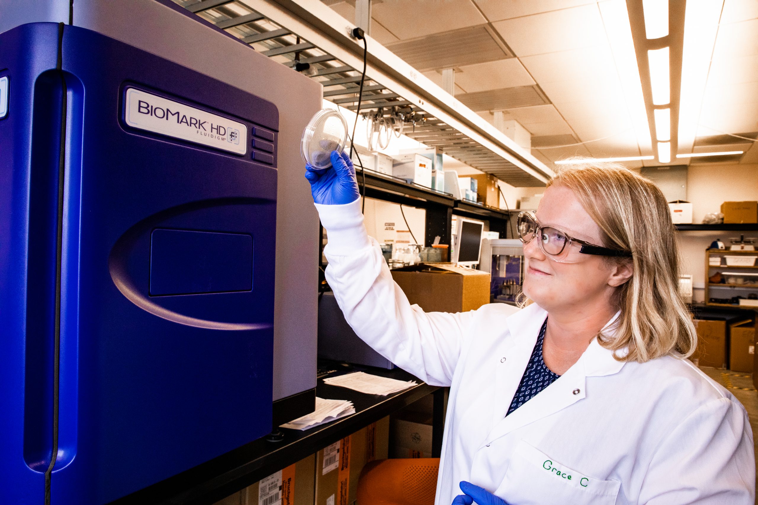 Photo of Carey in the lab observing a Petri dish