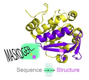 Graphic representing elements of protein structure and process of Chowdhury's research