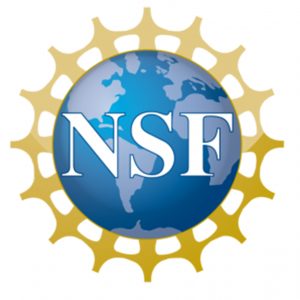 National Science Foundation logo