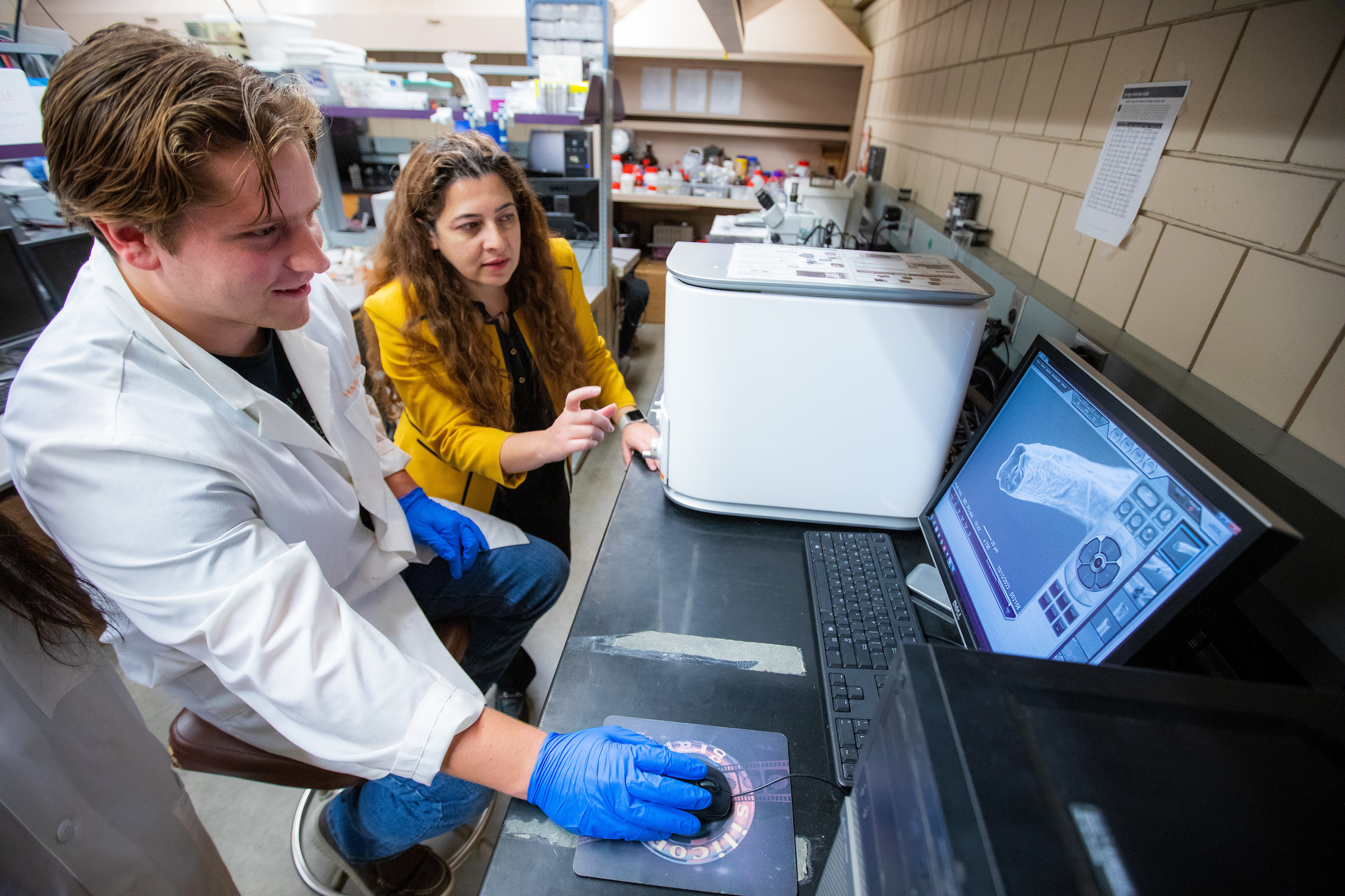 Two researchers view scientific image on computer screen