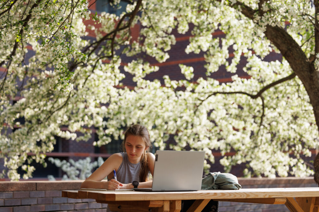 Elizabeth Belling studying in courtyard with flowering trees her senior semester.