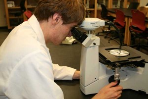 Looking at a trephine implant microstructure using a light microscope.